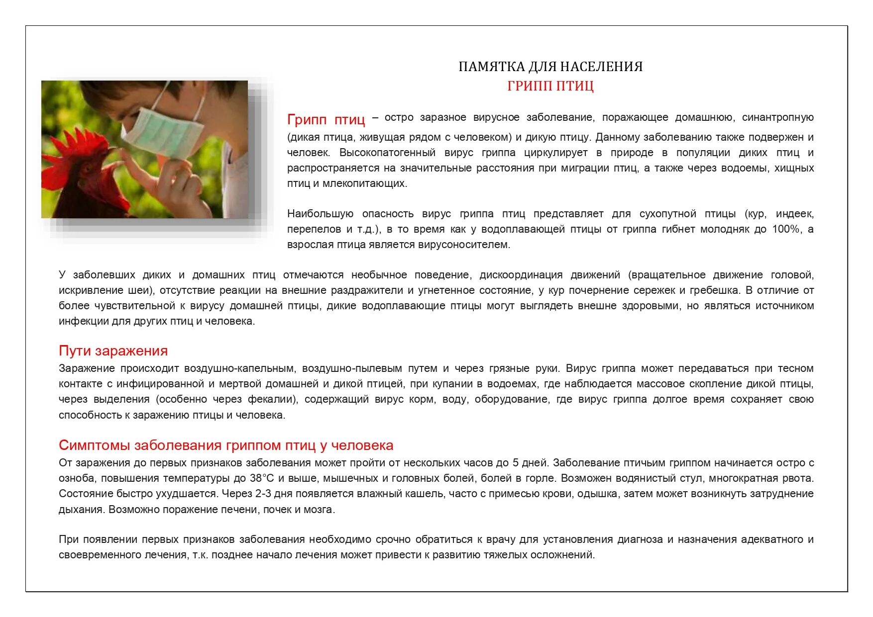 Памятки по птичьему гриппу. Памятка грипп птиц. Памятка по птичьему гриппу для населения. Памятка по профилактике птичьего гриппа. Памятка грипп птиц.