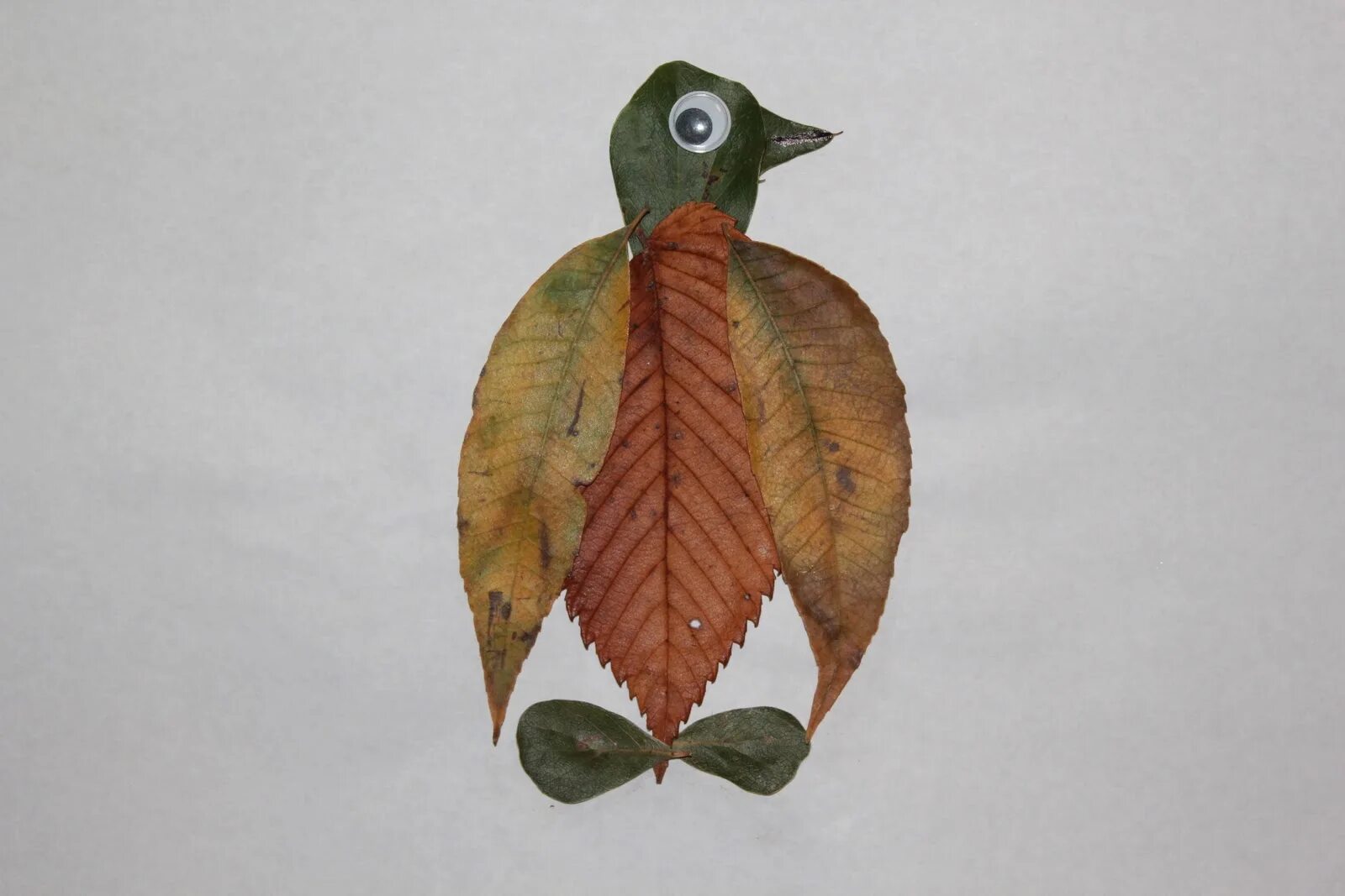 Аппликация из листьев. Жар птица из осенних листьев. Птица из осенних листьев. Аппликация из природного материала. Аппликация с листьями.