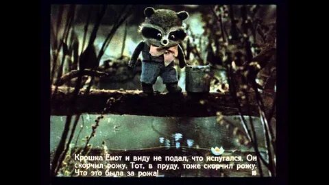 Енот и тот кто сидит