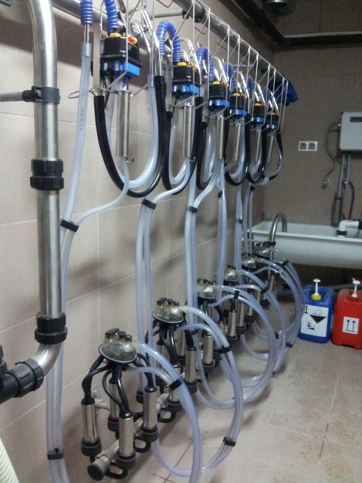 Доильный стол для мужчин. Доильный аппарат для коров delaval dvp170. Под доильным столом. Оборудование для доения коз. Доильный аппарат молочная ферма 1п.