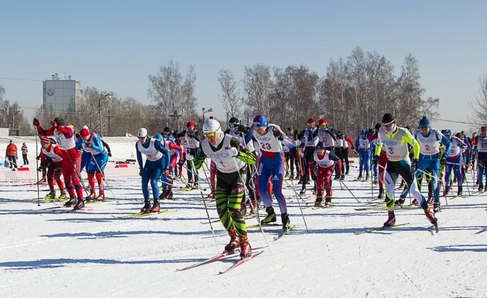 цзвс/полуянов лыжные гонки. сайт лыжных гонок красноярского. лыжные гонки красноярск. история лыжных гонок. лыжные трассы красноярска.