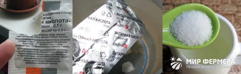 Янтарная кислота сколько в чайной ложке. Янтарная кислота таблетки 0,1 г, 10 шт. Янтарная кислота сколько в чайной ложке. Янтарная кислота марбиофарм 100 мг. Янтарная кислота сколько в чайной ложке.