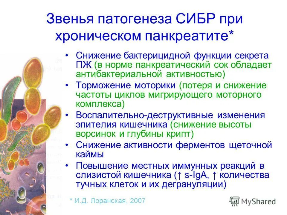 волрподно дыхательный тест. патогенез сибр. синдром избыточного бактериального роста презентация. сибр. рн желудочного сока в норме.