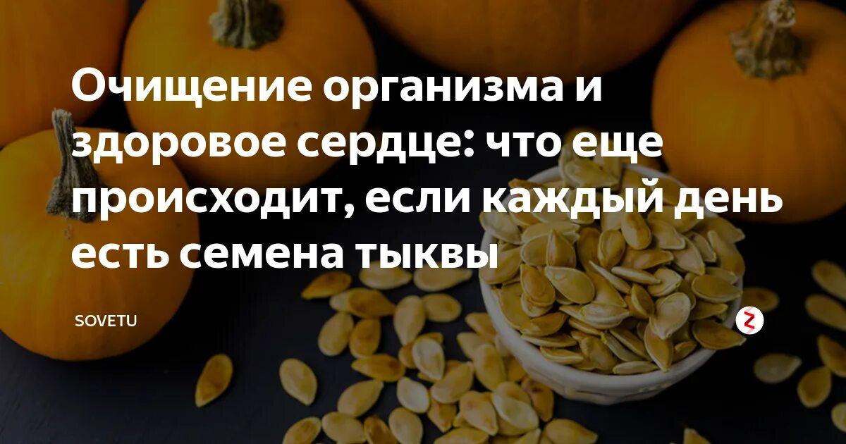 Польза тыквенных семечек. Тыква семена здоров. Тыквенные семечки для очищения организма. Норма тыквенных семечек в сутки.