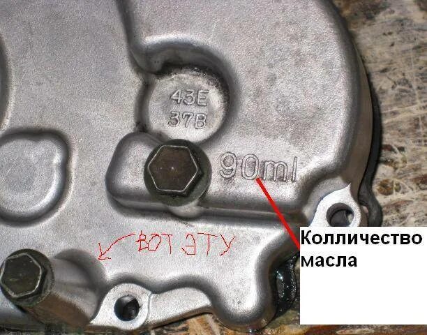 Масло в редуктор хонда дио 27. Сколько масла в двигателе скутера 150 кубов. Ручной стартер kymco. Задний тормоз хонда дио 27. Сколько масла в двигателе скутера 150 кубов.