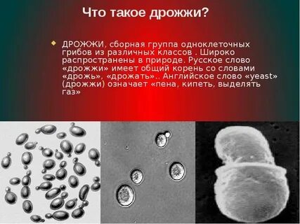Дрожжи и газ