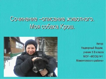 Мини сочинение собаки лучшие друзья людей