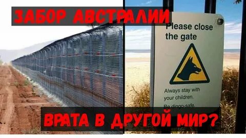 Забор в австралии реальное предназначение рассекреченные