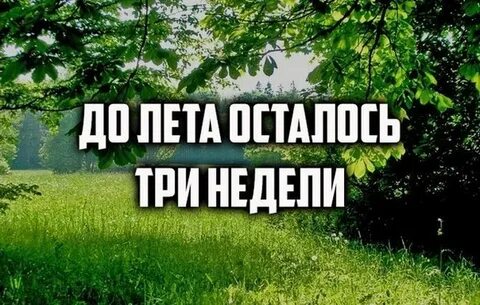 Никто не видел лето