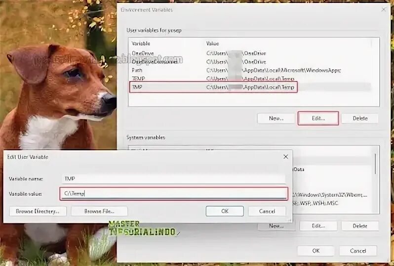 Extract temporary file. Extract temporary file