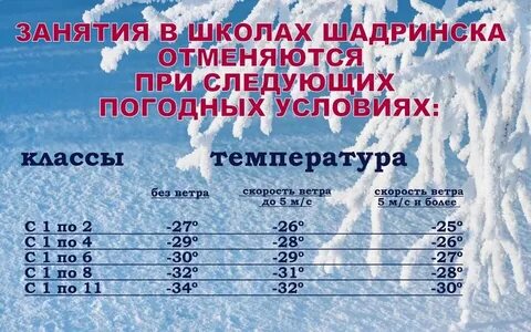 До скольки градусов мороза можно