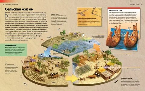 Гробница книга