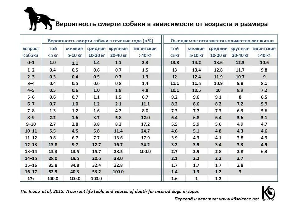 Сколько живет тома. Продолжительность жизни собак мелких пород таблица. Продолжительность жизни собак по породам таблица. Таблица возраста собак мелких пород. Продолжительность жизни собак по породам таблица средняя.