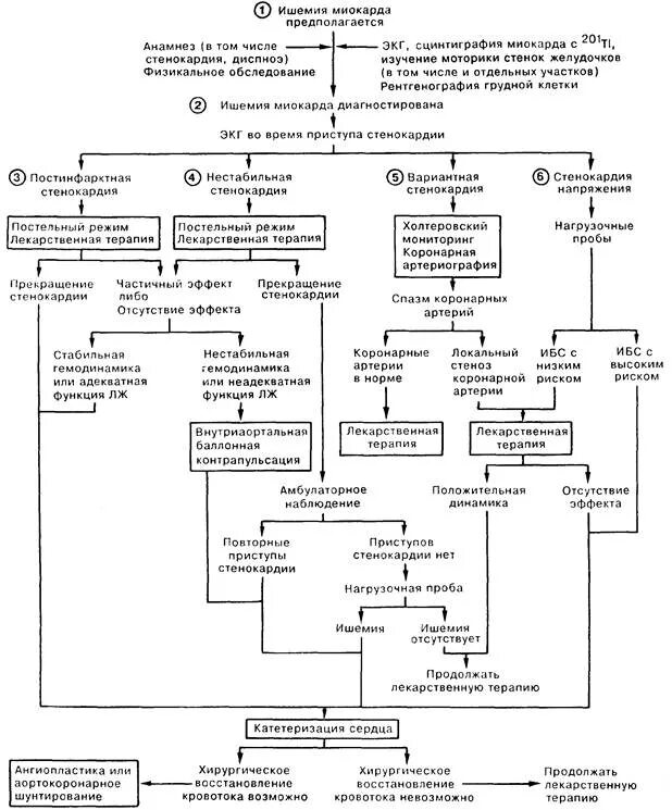 Нестабильная гемодинамика. Патогенез нестабильной стенокардии схема. Патогенез инфаркта миокарда схема. Патогенез нестабильной стенокардии. Патогенез ИБС стабильная стенокардия напряжения.
