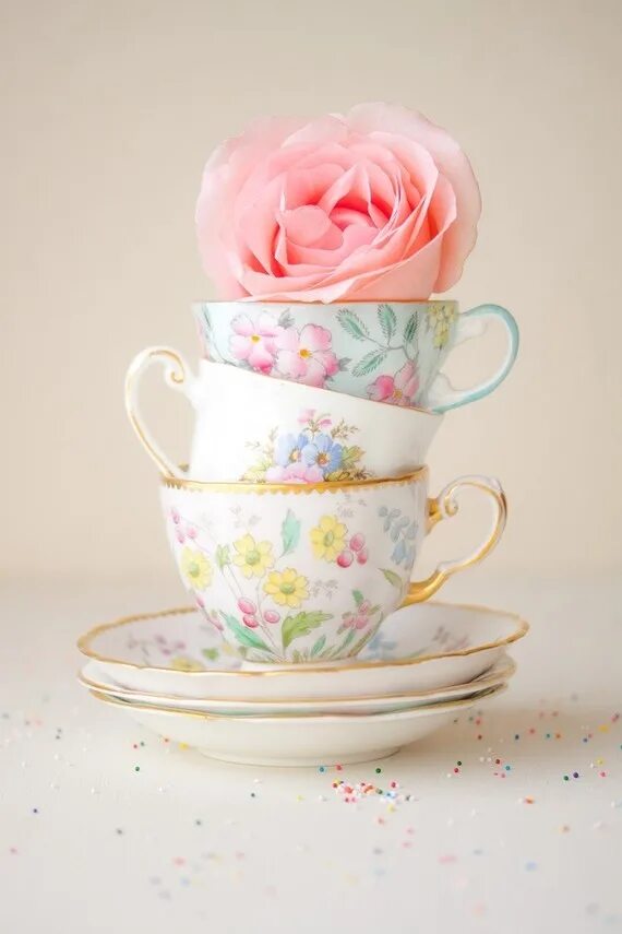 Cups flowers