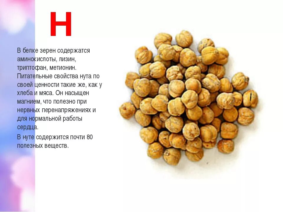 Витамины нут турецкий горох. Чем полезен горох нут. Нут cicer arietinum. Чем полезен горох для организма. Нут бобовые.