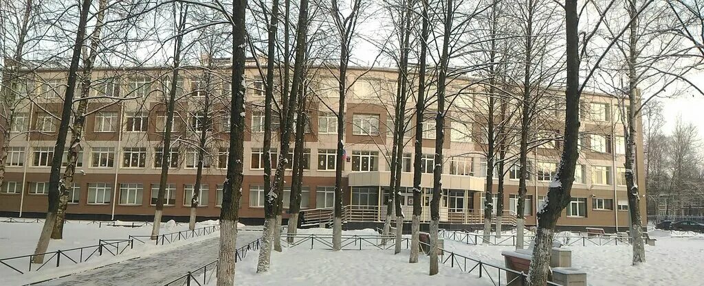 Главное немецкое училище св. Гбоу школа 222 петришуле санкт-петербург. Петришуле 222. Старейшие школы спб. Гбоу школа 222 петришуле санкт-петербург.