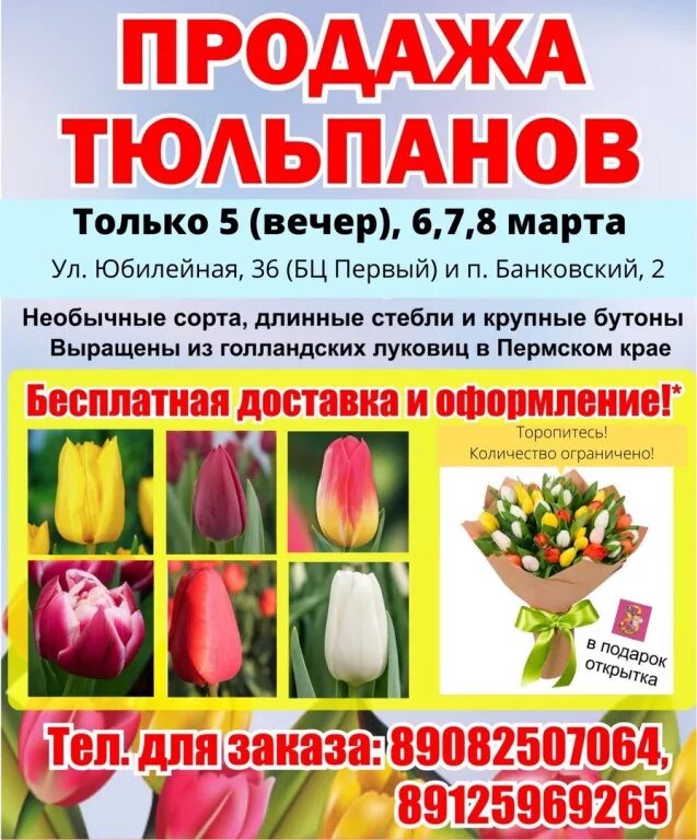 При какой температуре хранить тюльпаны для продажи. Объявление о продаже цветов. Объявления по продаже цветов.