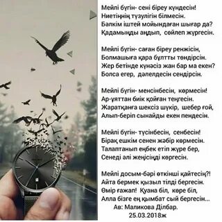 Санкт-Петербургтегі анальді шашақтарды жою