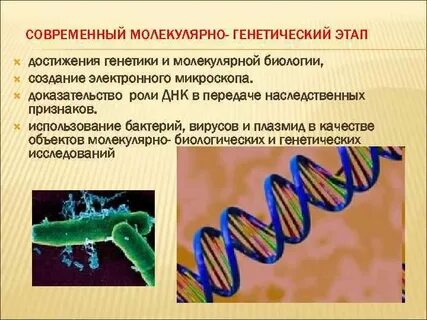 Отрасль генетика
