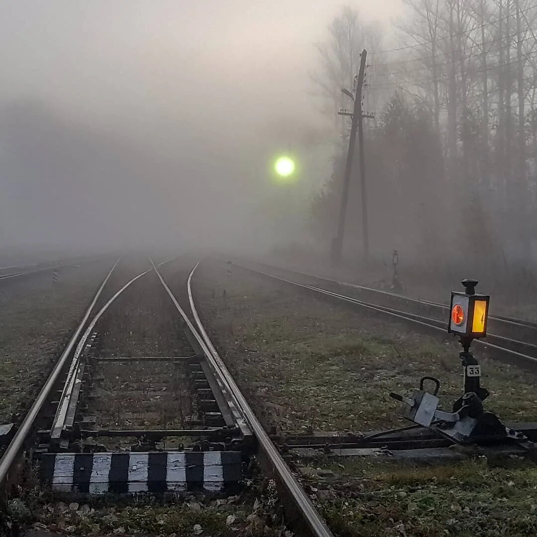 Лунно белый на жд. ЖД перрон станция лес. Полустанок. Железнодорожный Полустанок. Поезд на полустанке.