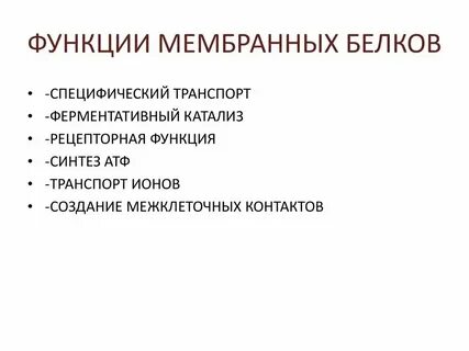 Ферментативная функция белков мембраны