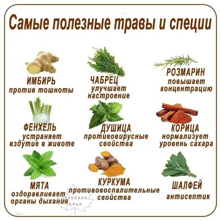 Какая трава существует