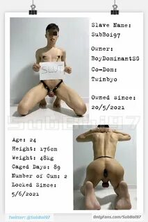 SubBoi97's tweet photo. 