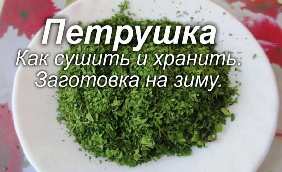 Как сохранить корневую петрушку. Сушить петрушку на зиму. как сушить петрушку. петрушка сухая. сушеная зелень на зиму.