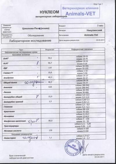 Где можно сдать анализы пенза. Платные анализы. Клиника анализ крови. Лаборатория анализы. См клиника анализы.