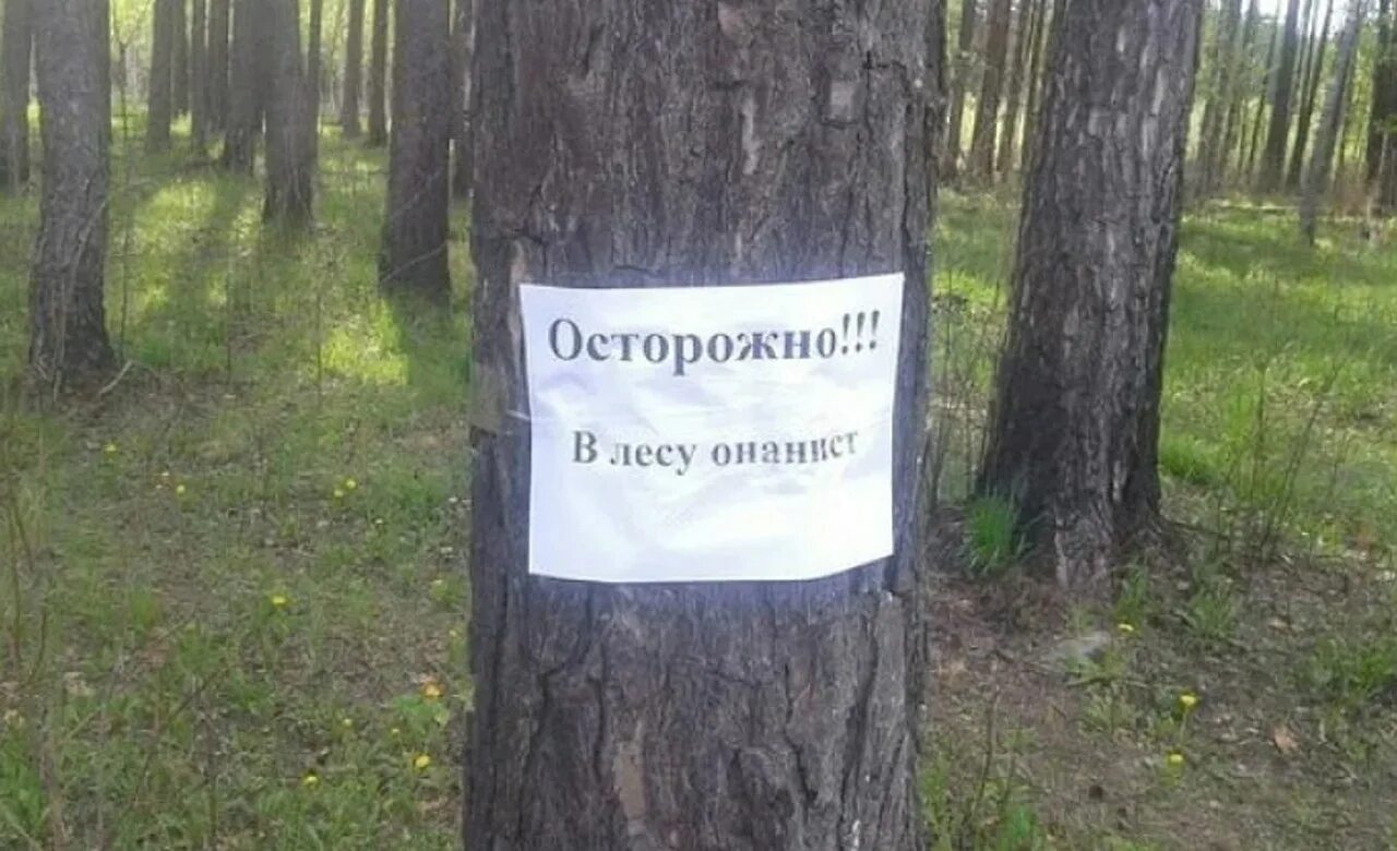 Выражение идите лесом