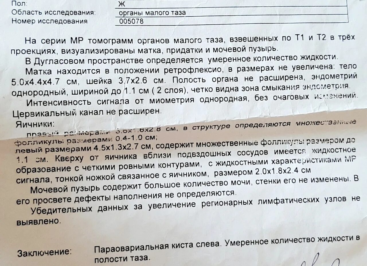 Питание перед мрт. Мрт малого таза заключение. Протокол кт органов малого таза. Мрт органов малого таза протокол. Мрт малого таза.