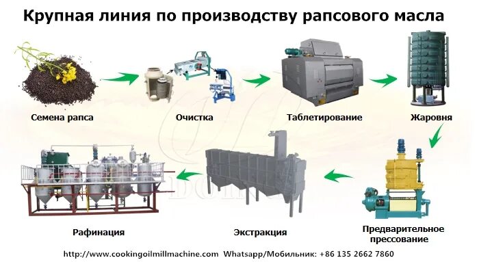 Чтобы получить растительное масло человек выращивает