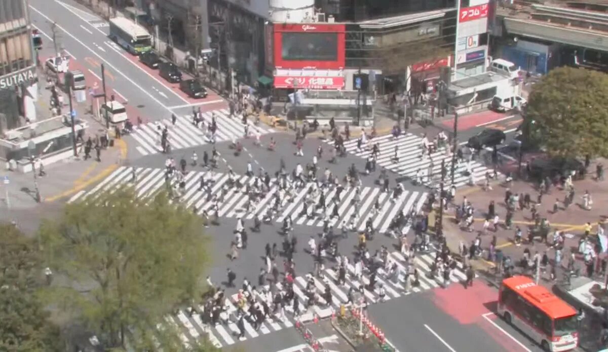 Веб камеры япония реального времени. Токио перекресток Сибуя. Сибуя Токио перекресток камера. Самый оживленный перекресток в Токио. Самый большой перекресток в Токио.