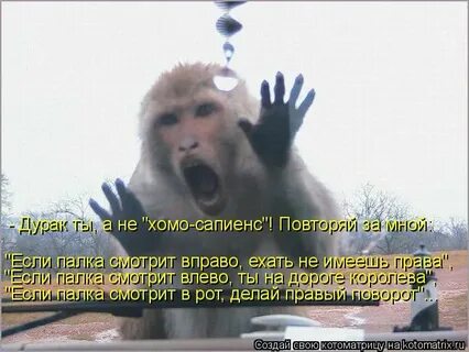Смотрела налево пока я смотрел направо