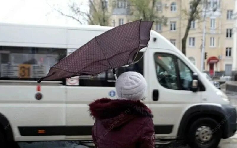 Когда дожди в ставропольском крае. Штормовое предупреждение. Штормовой ветер. Сильный ветер в Ставрополе. Сильный дождь.