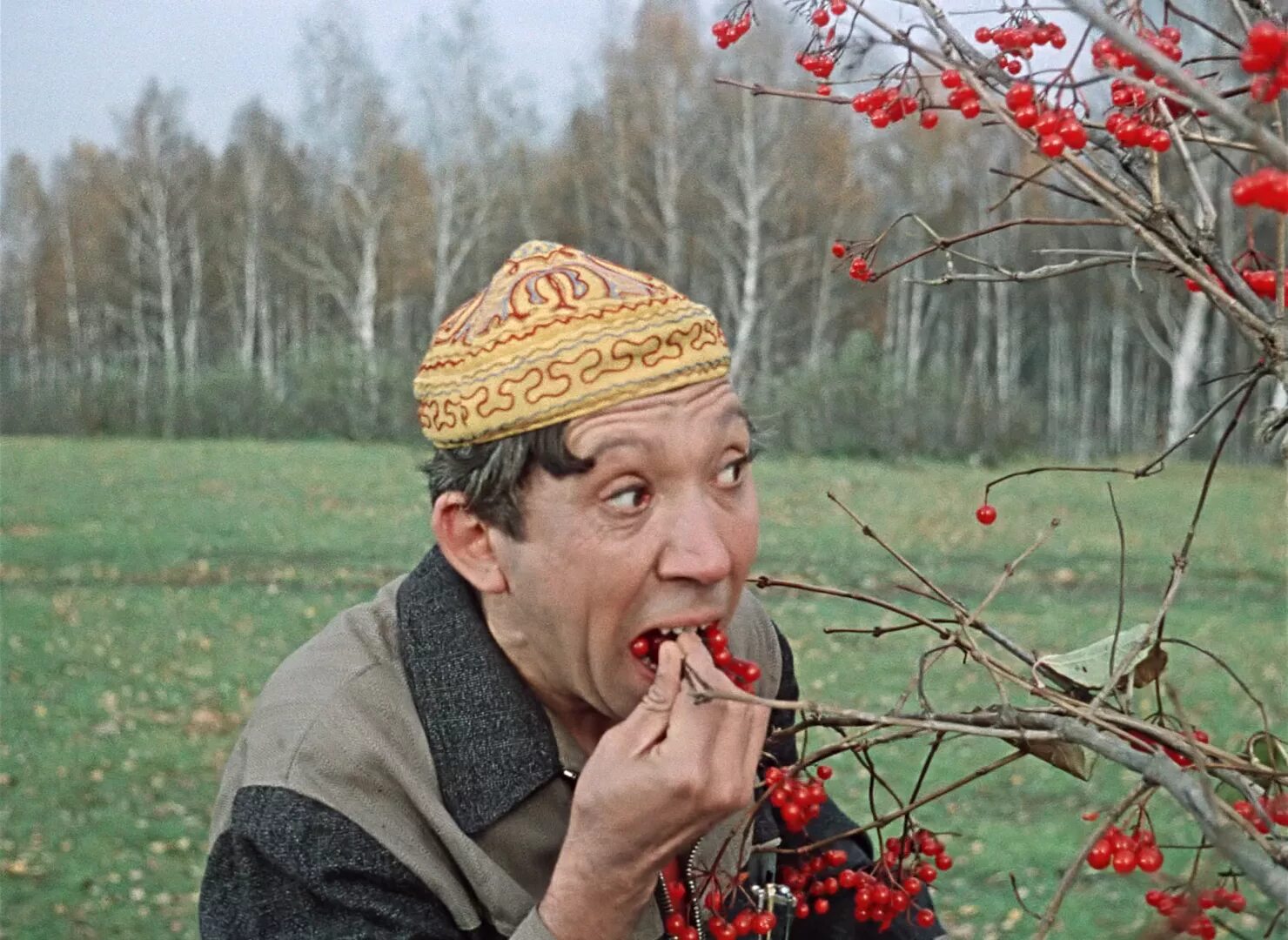 Александр серый, 1971 г. Юрий никулин в фильме пес барбос и необычный кросс. Кадры из фильмов. ). Евгений моргунов бывалый.