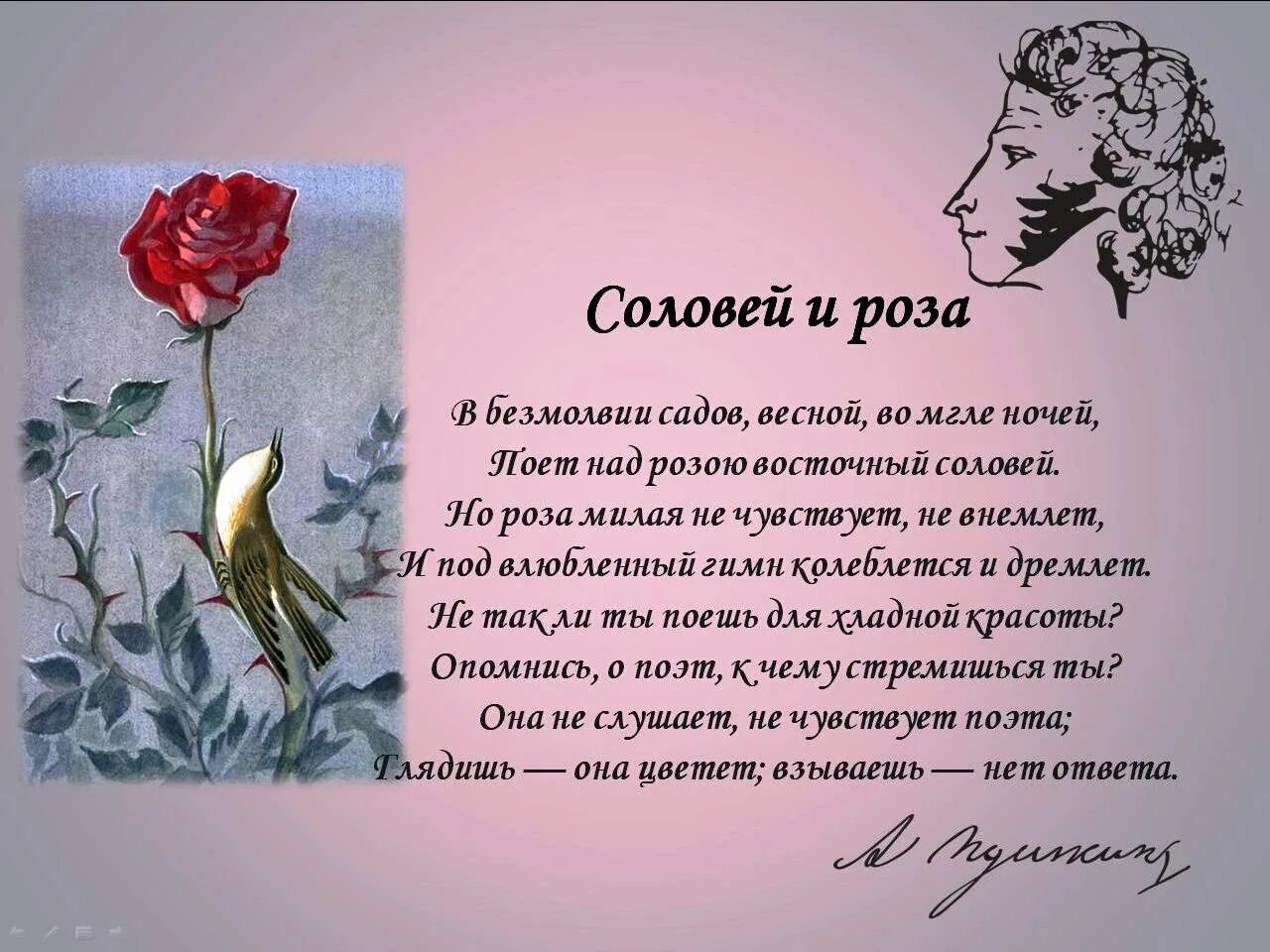 Розов тексты