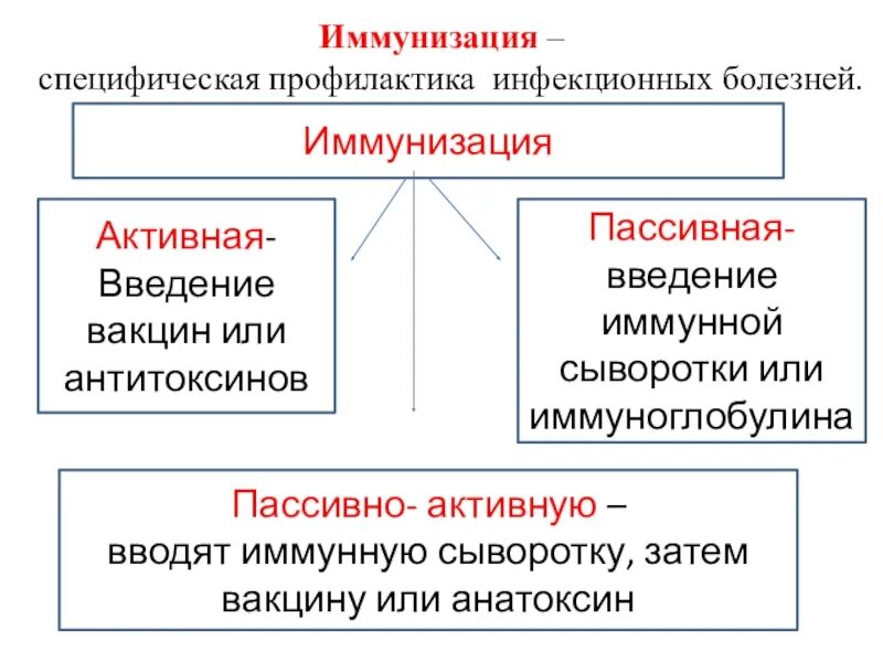 Специфическая профилактика инфекций. Специфическая и неспецифическая профилактика инфекционных болезней. активная и пассивная иммунизация. специфические методы профилактики инфекционных болезней. специфическая профилактика инфекционных больных.