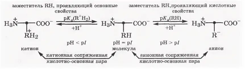 Сопряженные кислотно основные пары. Сопряженные кислотно основные пары