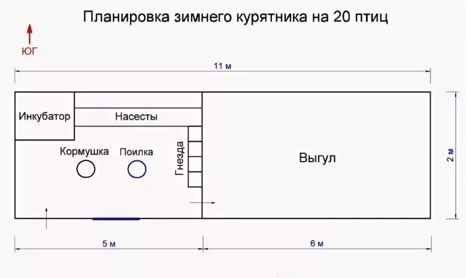 Размер курятника на 10 кур несушек. Чертеж зимнего курятника на 20 кур с размерами. Чертежи курятника на 20 кур зимний. Площадь курятника на 20 кур несушек. План зимнего птичника на 20 несушек.