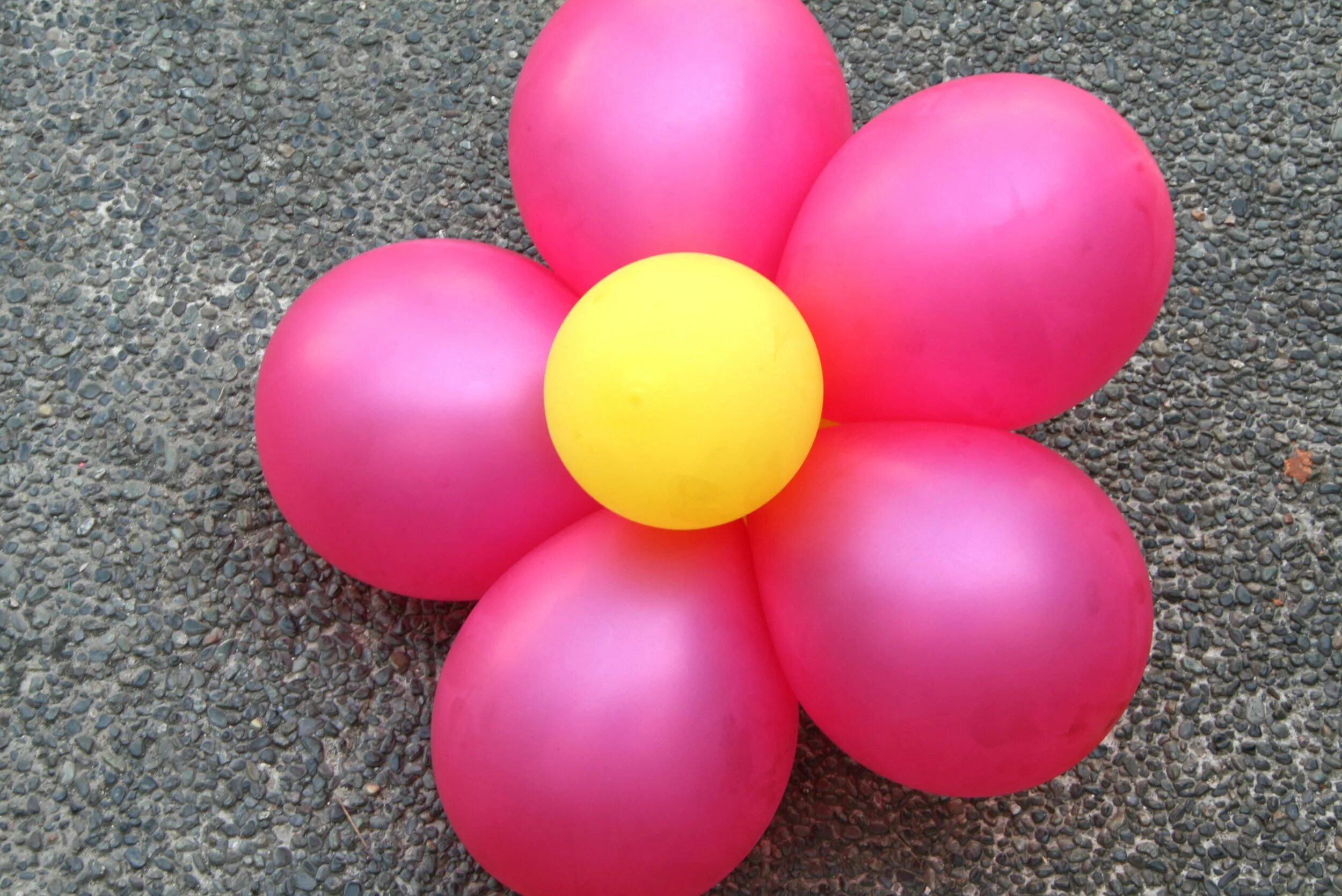 Цветы из круглых воздушных шаров. Цветы из круглых шаров. Ромашка из круглых шаров. Цветочки из круглых шаров.