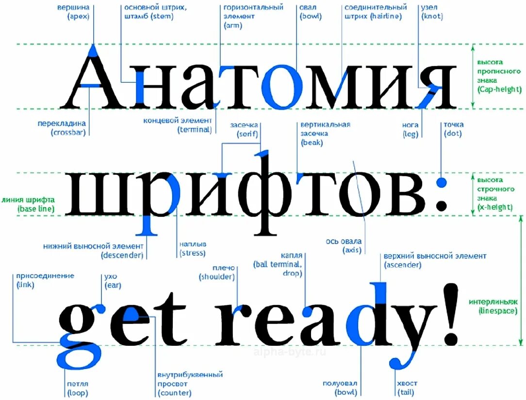 Высота букв шрифта называется. Анатомия шрифта. Строение шрифта. Основные элементы шрифта. Анатомия шрифта и элементы.