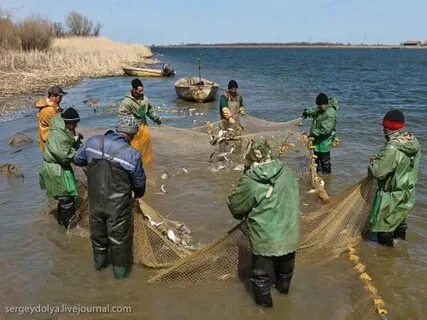 Объекты водных биологических ресурсов
