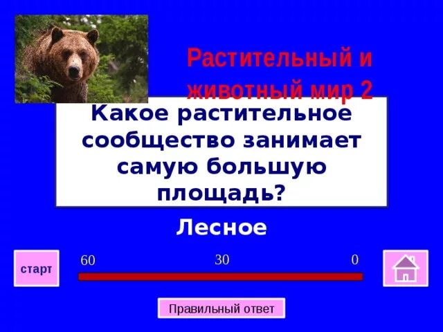 Ярусность в биоценозе лиственного леса. Растительные сообщества. Растения разных ярусов. Ярусность соснового леса схема. Ярусы хвойно широколиственного леса.