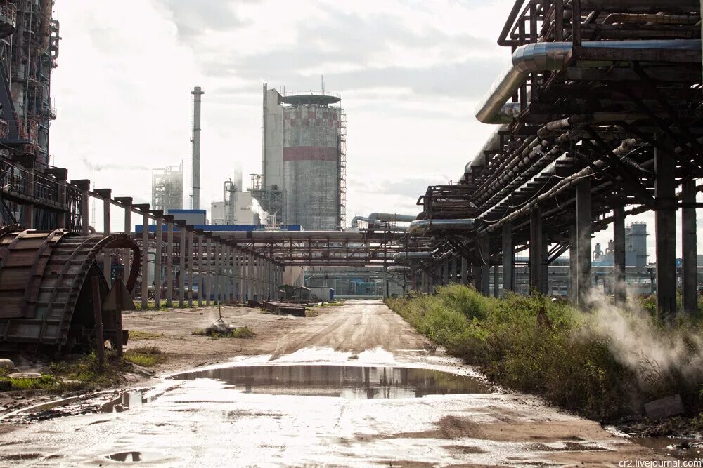 Завод азот новомосковск. Новомосковск тульская область промышленность. Ао «новомосковская акционерная компания «азот». Химический комбинат азот кемерово. Новомосковский химический.