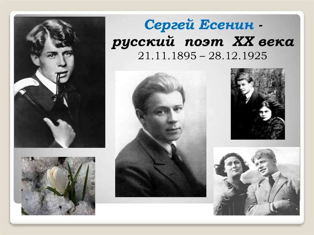 Писатель 20 века Есенин. Есенин русский поэт. Поэты двадцатого века.