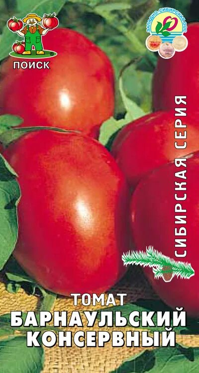 Томат барнаульский консервный семена алтая. Томат сорт барнаульский консервный. Барнаульский консервный. Томат барнаульский консервный семена алтая. Томат сорт барнаульский консервный.