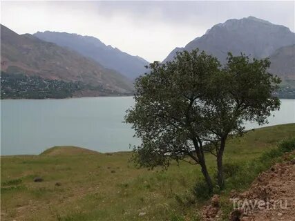 Бричмулла песня слушать