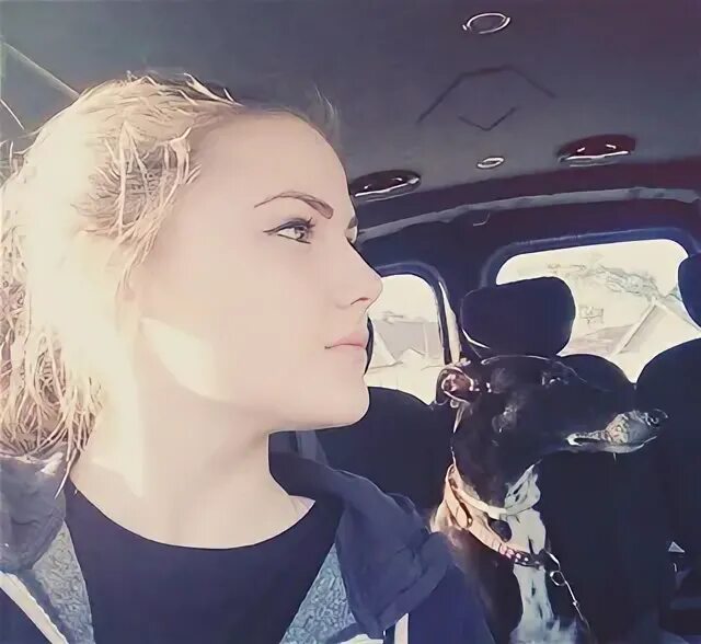 Собака в кабинете ветеринара. Ветеринар. Ветеринар улыбается. Ветеринарная клиника. Vet перевести.